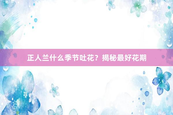 正人兰什么季节吐花？揭秘最好花期