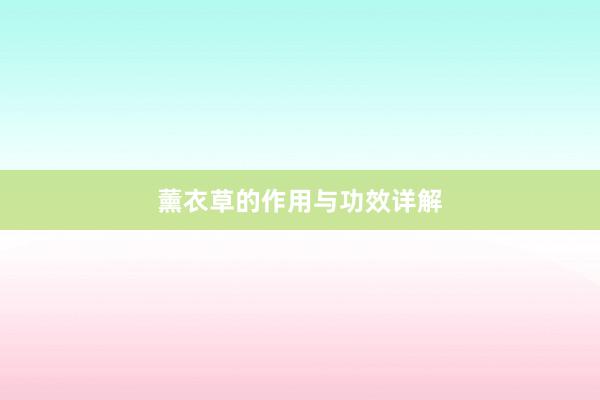 薰衣草的作用与功效详解