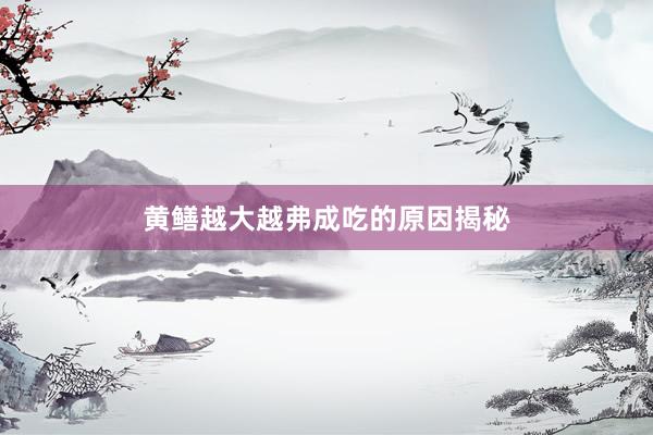 黄鳝越大越弗成吃的原因揭秘