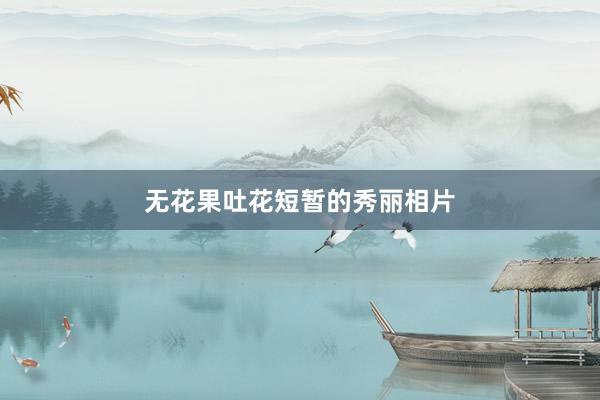 无花果吐花短暂的秀丽相片