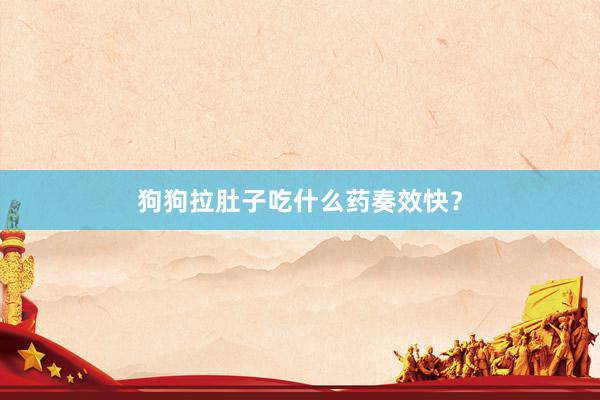 狗狗拉肚子吃什么药奏效快？