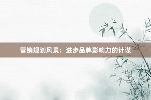 营销规划风景：进步品牌影响力的计谋